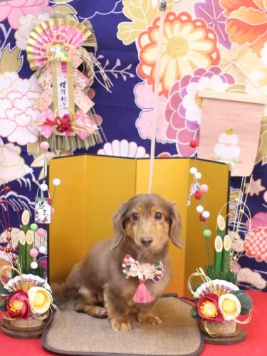 20240114モカくん